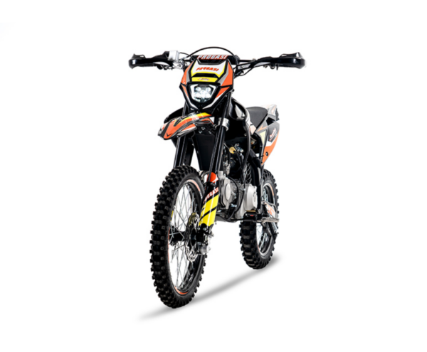 PROGASI JUMBO 150 — изображение 2
