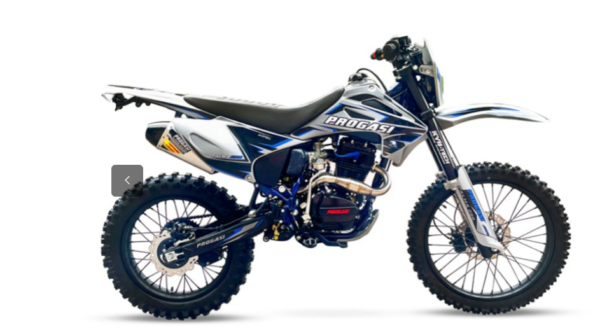 PROGASI PALMA 250 — изображение 3