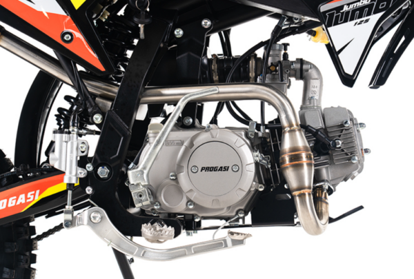 PROGASI JUMBO 125 — изображение 11